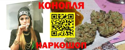 прущие крисы Гай