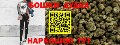 прущие крисы Гай