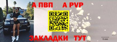 прущие крисы Гай