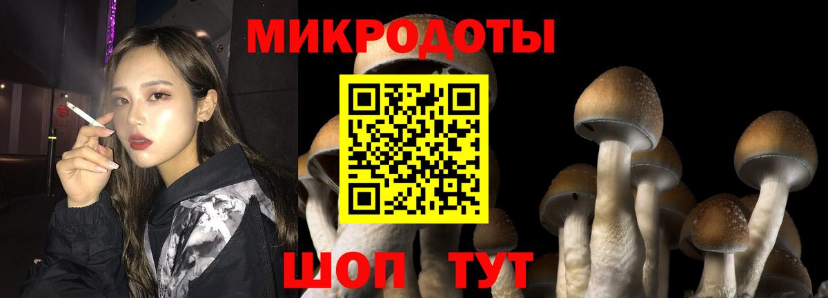 Псилоцибиновые грибы Magic Shrooms Михайловск