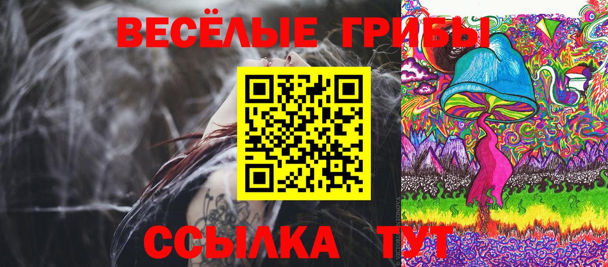 Псилоцибиновые грибы ЛСД  Вход с VPN  Михайловск  Галлюциногенные грибы ЛСД 